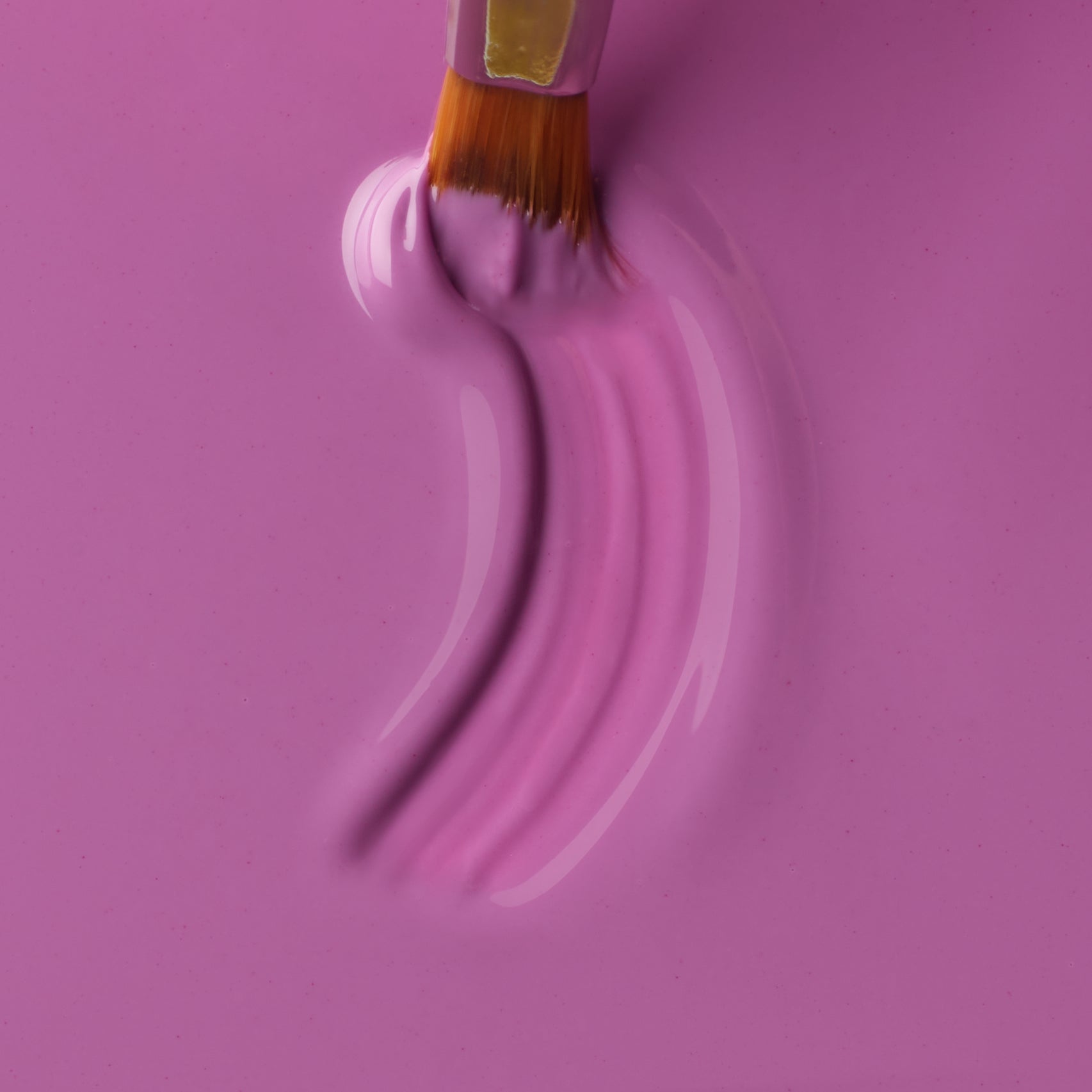 Color Gel Winter Cardinal