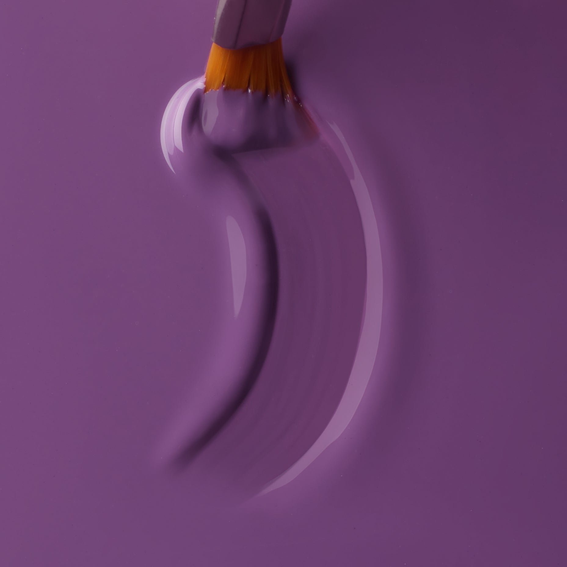 Color Gel Winter Purple