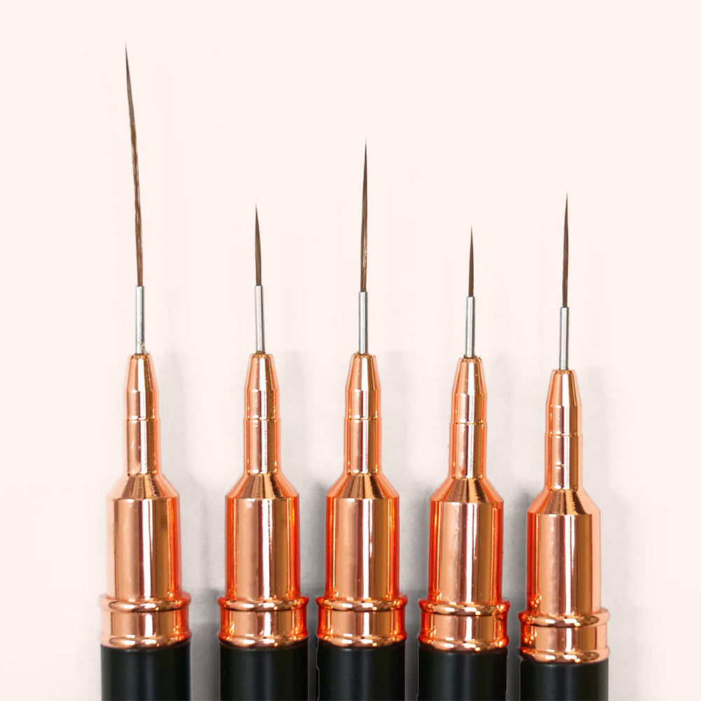 Premium Nail Art Brush Set 5 pièces