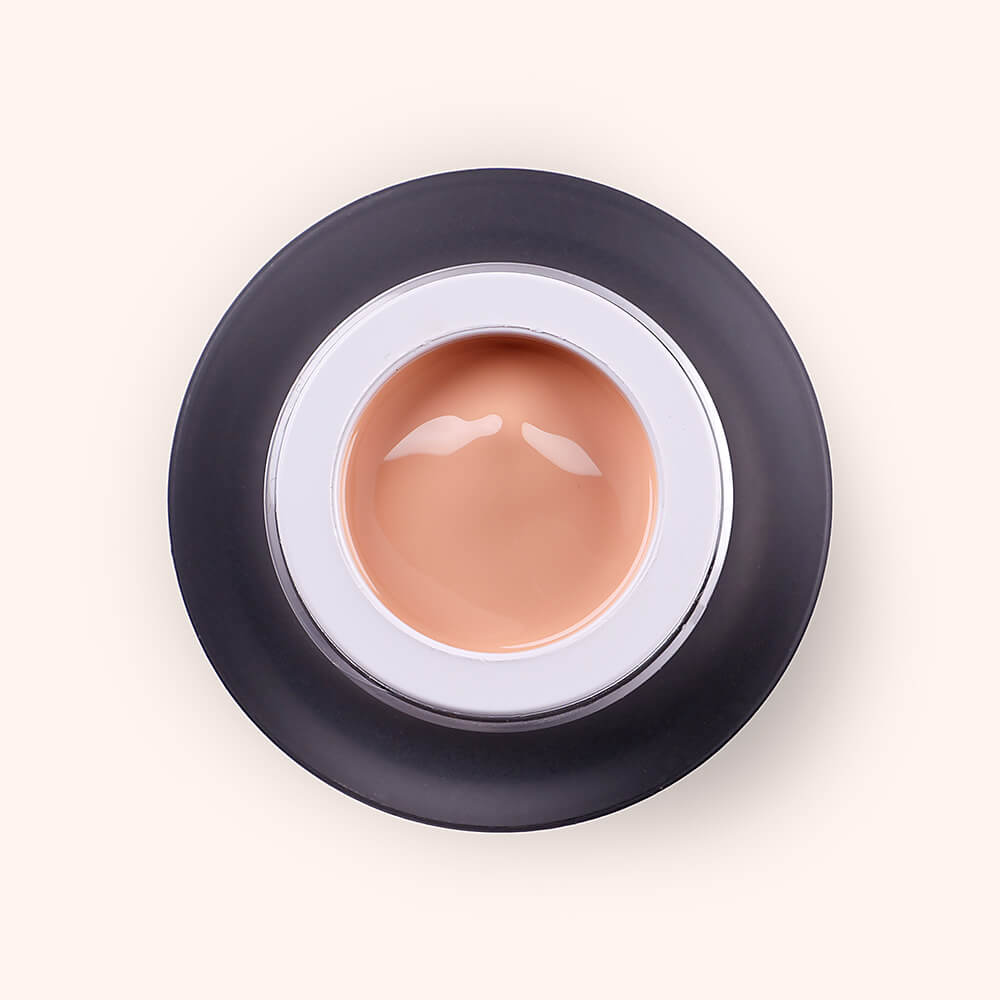 Ombré VSP in a Pot Apricot