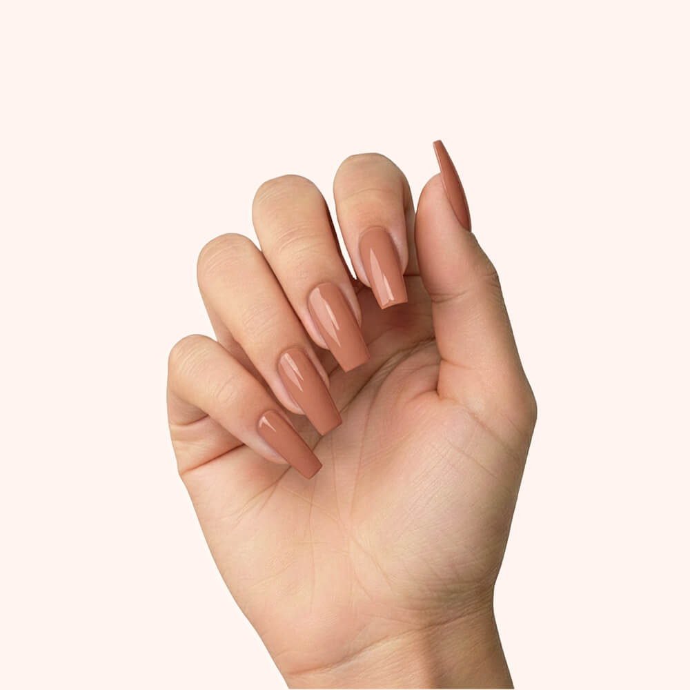 Color Gel Teddy Talk